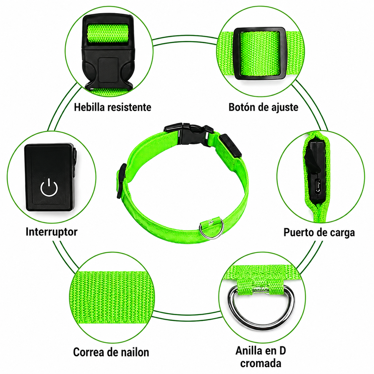 Collar LED Recargable USB para Perros — 5 Modos, Luz Nocturna Antipérdida