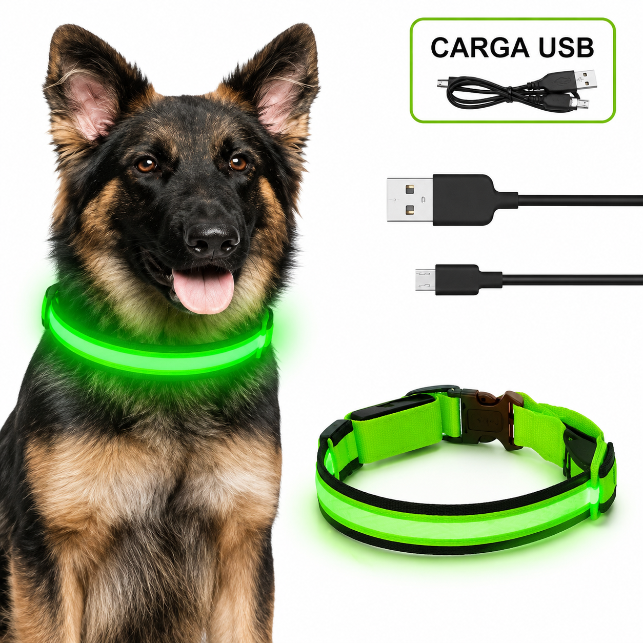 Collar LED Recargable USB para Perros — 5 Modos, Luz Nocturna Antipérdida