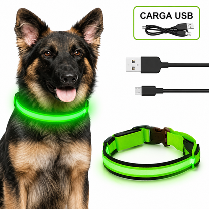 Collar LED Recargable USB para Perros — 5 Modos, Luz Nocturna Antipérdida
