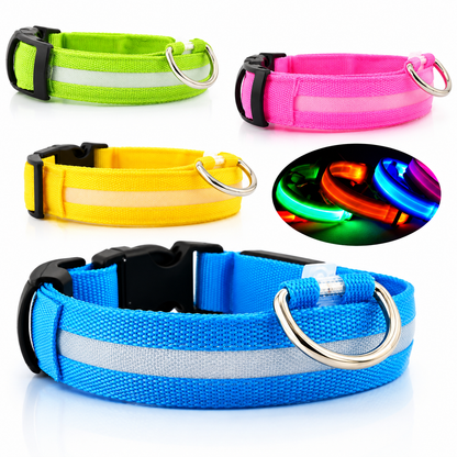 Collar LED Recargable USB para Perros — 5 Modos, Luz Nocturna Antipérdida